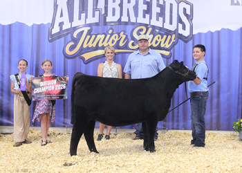 Bred-and-owned Senior Heifer Calf Champion