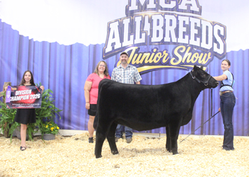 Bred-and-owned Intermediate Champion Heifer