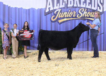 Bred-and-owned Reserve Senior Heifer Calf Champion