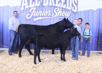Grand Champion Cow-calf Pair