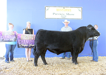 Reserve Grand Champion Bull
