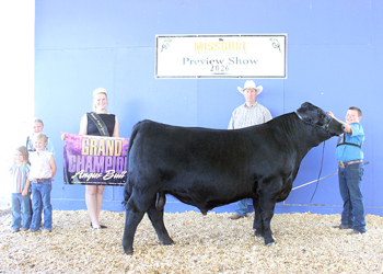 Grand Champion Bull