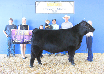 Reserve Grand Champion Steer