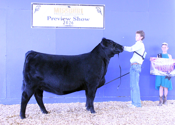 Reserve Early Junior Champion Heifer