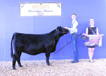 Intermediate Champion Heifer
