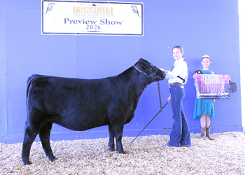 Reserve Intermediate Champion Heifer