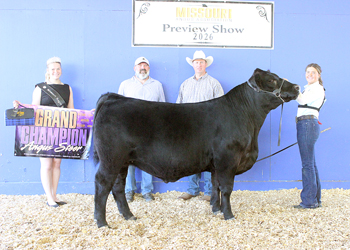 Grand Champion Steer