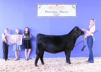 Reserve Late Senior Heifer Calf Champion