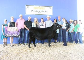 Reserve Grand Champion Female