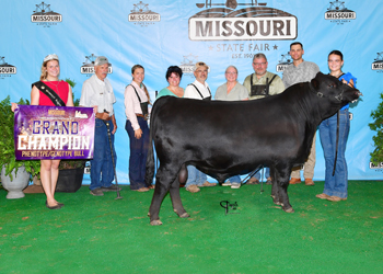 Grand Champion PGS Bull