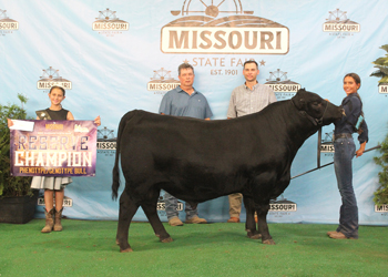 Reserve Grand Champion PGS Bull
