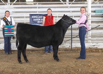 Reserve Grand Champion Owned Female
