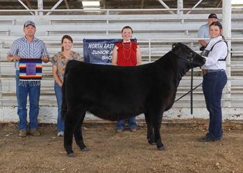 Grand Champion Owned Female