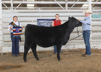 Reserve Grand Champion Bred-and-owned Female