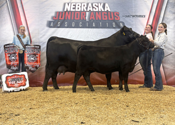 Grand Champion Cow-calf Pair