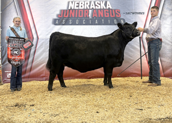 Reserve Grand Champion PGS Female