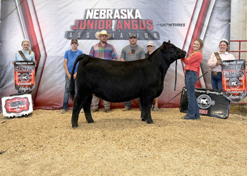 Grand Champion Owned Female