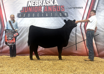 Reserve Grand Champion Bred-and-owned Female
