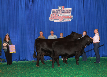 Bred-and-owned Reserve Champion Mature Cow-calf Pair