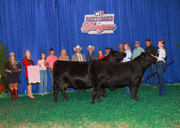 Reserve Grand Champion Bred-and-owned Cow-calf Pair