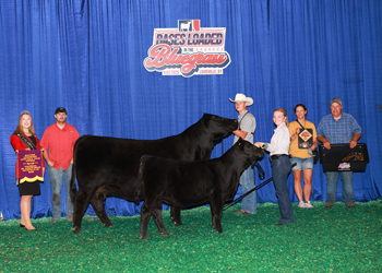 Owned Champion Mature Cow-calf Pair