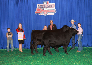 Owned Reserve Champion Mature Cow-calf Pair