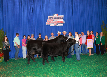 Reserve Grand Champion Owned Cow-calf Pair