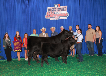 Grand Champion Bred-and-owned Cow-calf Pair