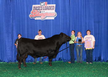 PGS Reserve Bull Division 4