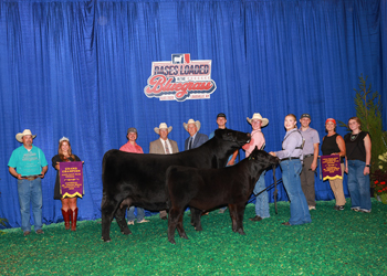 Grand Champion Owned Cow-calf Pair