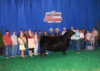 Fifth Overall Bred-and-owned Champion Female