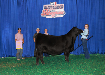 Reserve Senior Champion Female--Division 2