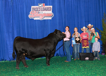 PGS Bull Division 4