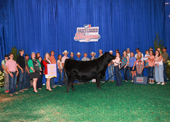 Reserve Grand Champion Owned Female