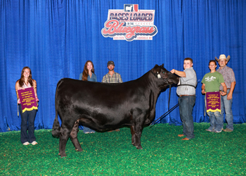 PGS Heifer Division 4
