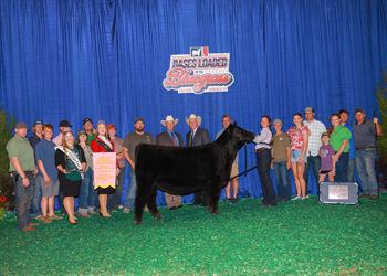 Third Overall Bred-and-owned Champion Female