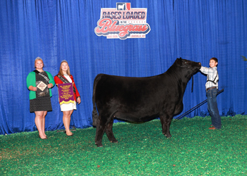 Senior Champion Female--Division 1