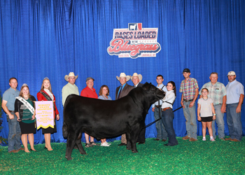 Reserve Grand Champion Bred-and-owned Bull