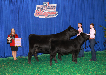 Bred-and-Owned Young Cow-Calf Pair Champion