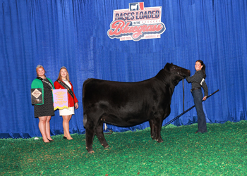 Reserve Senior Champion Female--Division 1