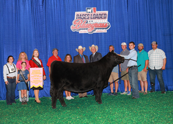 Fourth Overall Bred-and-owned Champion Female