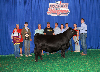 Bred-and-Owned PGS Heifer Ch-Division 3