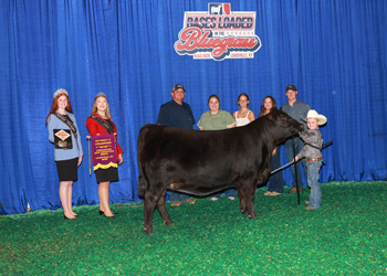 PGS Heifer Division 2