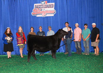Intermediate Champion Heifer--Division 1