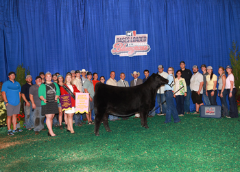 Fourth Overall Owned Champion Female