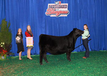 Reserve Intermediate Champion Female--Division 3