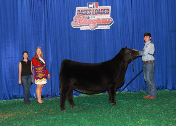 Junior Champion Heifer--Division 7
