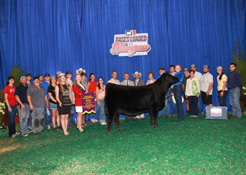 Grand Champion Owned Female