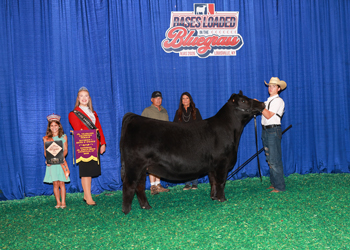 Junior Champion Heifer Div 1