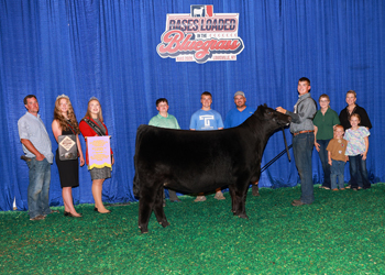 Reserve Intermediate Champion Female--Division 2